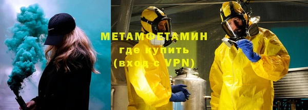 ГАЛЛЮЦИНОГЕННЫЕ ГРИБЫ Дмитриев