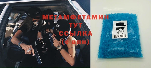 ГАЛЛЮЦИНОГЕННЫЕ ГРИБЫ Дмитриев