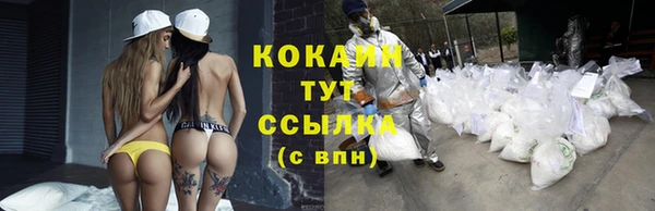 прущие крисы Дмитровск