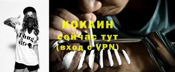 МДПВ Ельня