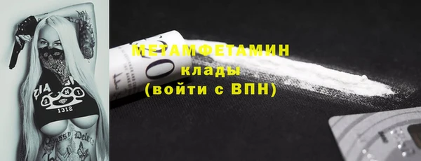 ГАЛЛЮЦИНОГЕННЫЕ ГРИБЫ Дмитриев