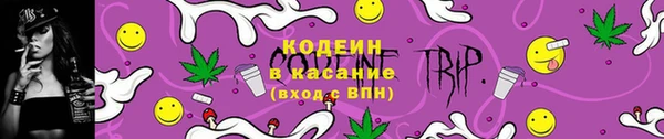 ГАЛЛЮЦИНОГЕННЫЕ ГРИБЫ Дмитриев