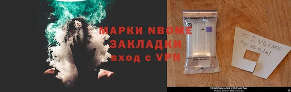 ГАЛЛЮЦИНОГЕННЫЕ ГРИБЫ Дмитриев