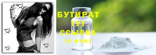 ГАЛЛЮЦИНОГЕННЫЕ ГРИБЫ Дмитриев