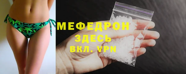 МДПВ Ельня