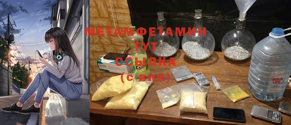 ГАЛЛЮЦИНОГЕННЫЕ ГРИБЫ Дмитриев