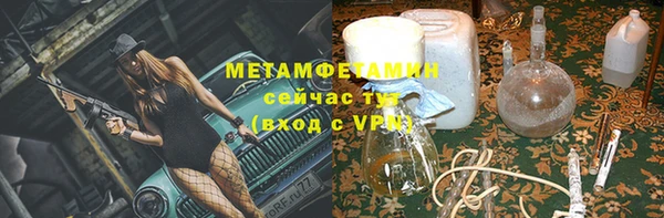 ГАЛЛЮЦИНОГЕННЫЕ ГРИБЫ Дмитриев