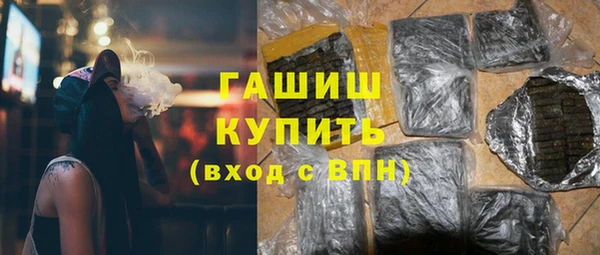 ГАЛЛЮЦИНОГЕННЫЕ ГРИБЫ Дмитриев