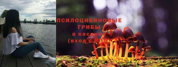 бошки Дмитров