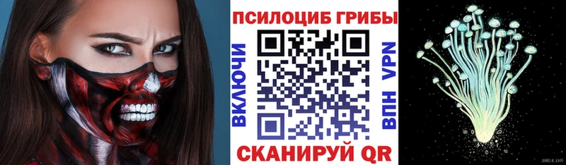 Купить где  Новоржев  Псилоцибиновые грибы Cubensis 
