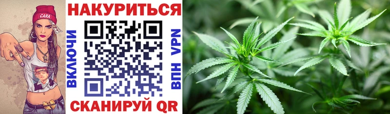 Купить где  Новоржев  Конопля LSD WEED 